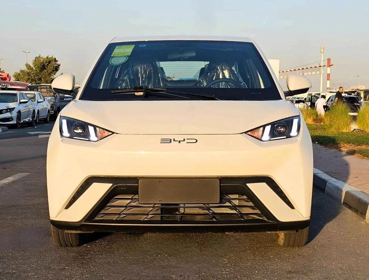 BYD Seagull FLYING EDITION / ELECTRIC / FULL OPTION (CODE # 68075)-7-7