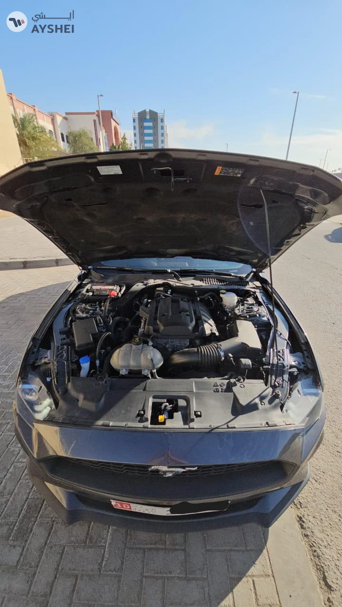 FORD MUSTANG ECOBOOST 2020 – Low Mileage - 59k negotiable-1-1