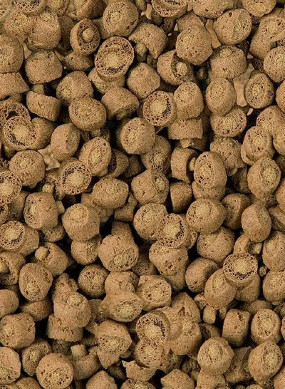 Sera Reptil Profess Carnivor, Two Colored Floating Granules Supplementary Food 1000Ml, Multi Colour-3