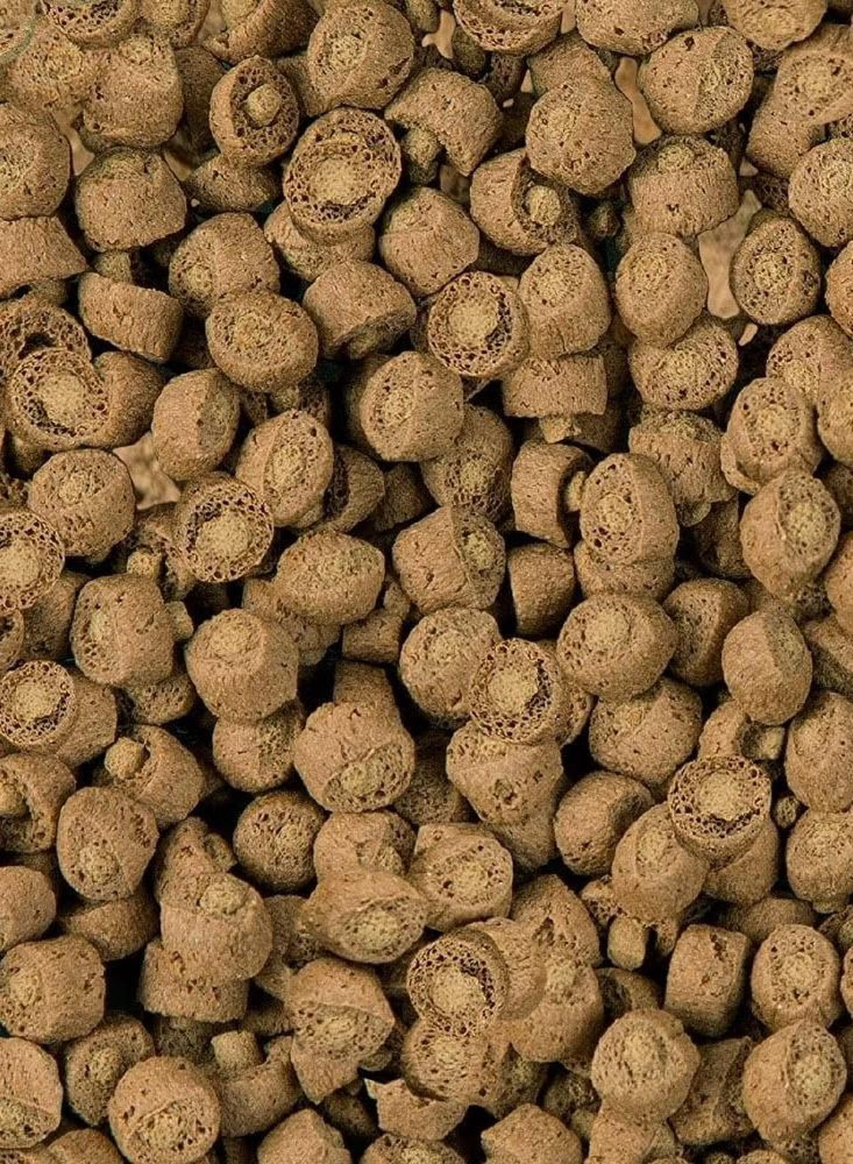 Sera Reptil Profess Carnivor, Two Colored Floating Granules Supplementary Food 1000Ml, Multi Colour-3-3