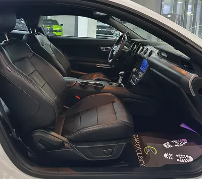 [FORD MUSTANG ECOBOOST PREMIUM 2.3L i4 TURBO]-14