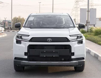 TOYOTA RAV4 PETROL CHINESE LUXURY-1