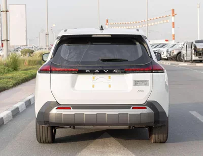 TOYOTA RAV4 PETROL CHINESE LUXURY-4