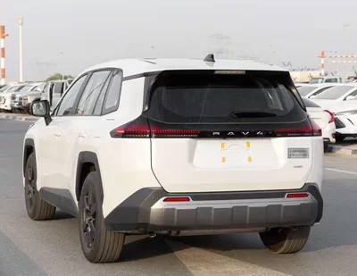 TOYOTA RAV4 PETROL CHINESE LUXURY-5