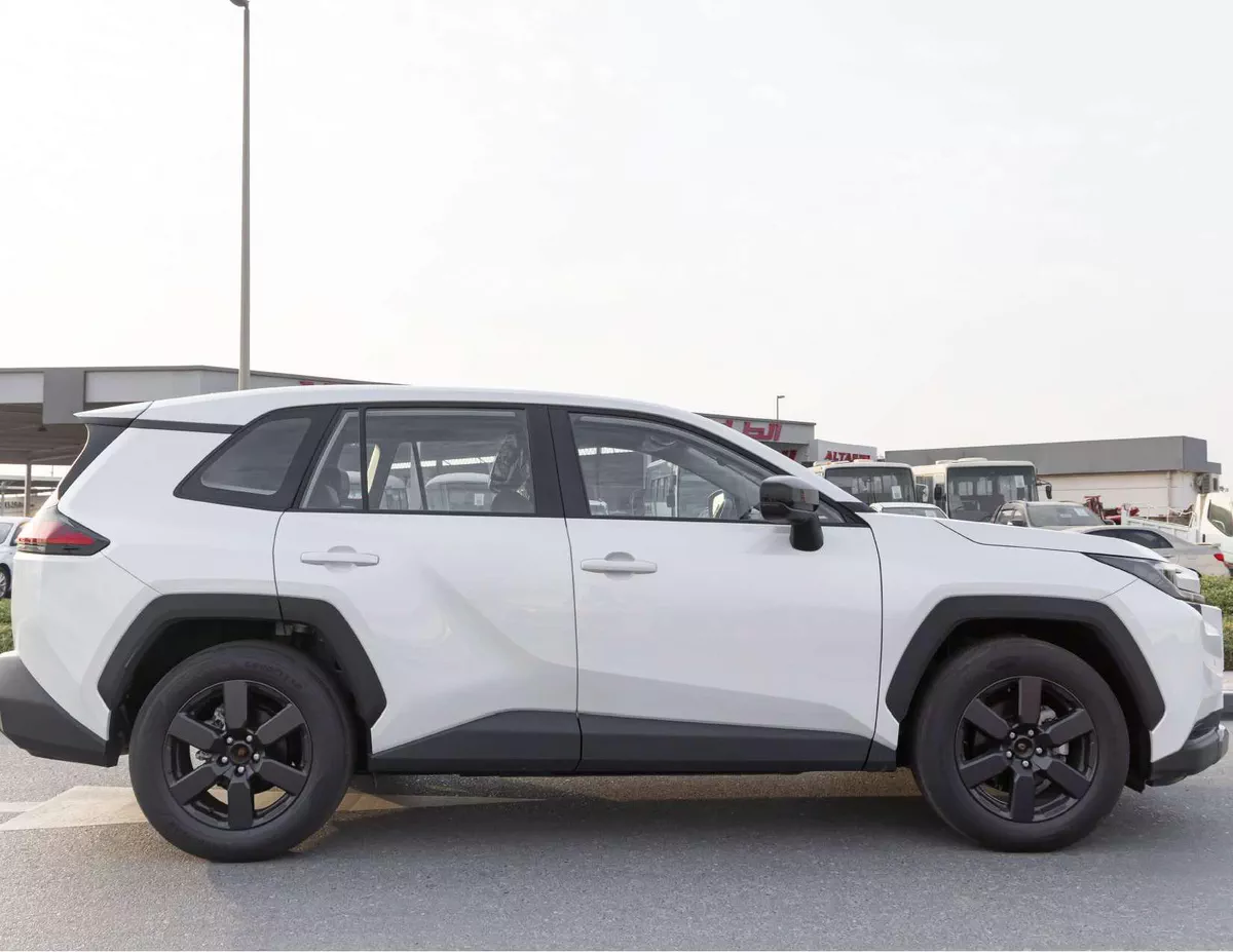 TOYOTA RAV4 PETROL CHINESE LUXURY-6-6