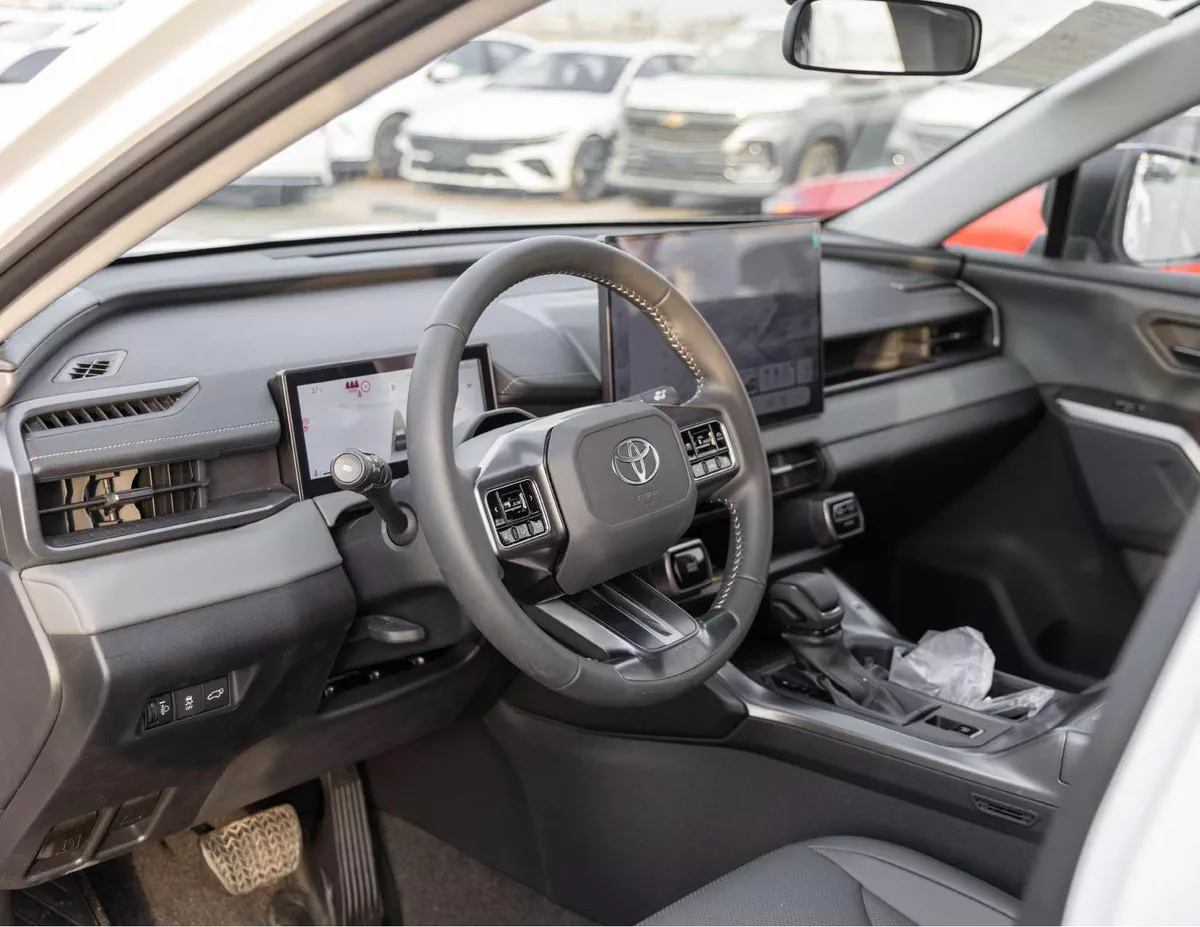 TOYOTA RAV4 PETROL CHINESE LUXURY-16-16