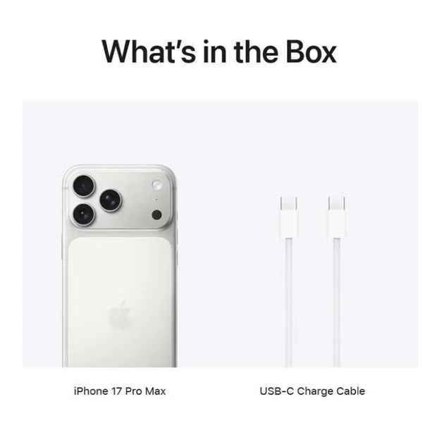 Apple iPhone 17 Pro Max 256 GB Silver 5G (eSim only) With FaceTime - International Version
