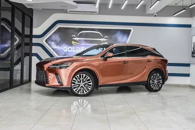 2024 Lexus Rx-350 Platinum - Full Option-0