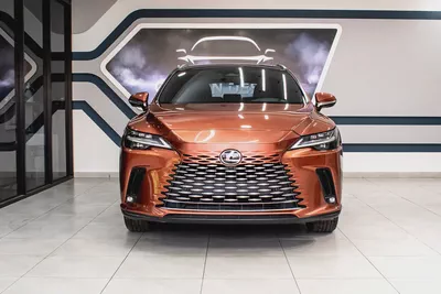 2024 Lexus Rx-350 Platinum - Full Option-1