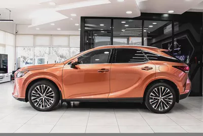 2024 Lexus Rx-350 Platinum - Full Option-3