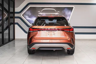 2024 Lexus Rx-350 Platinum - Full Option-4