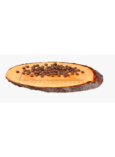 CARNILOVE Salmon & Turkey for Kittens 2kg-1