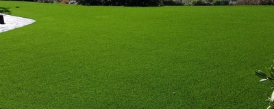 Yatai Decor 30mm Artificial Grass Carpet Green For Home Outdoor Front-2