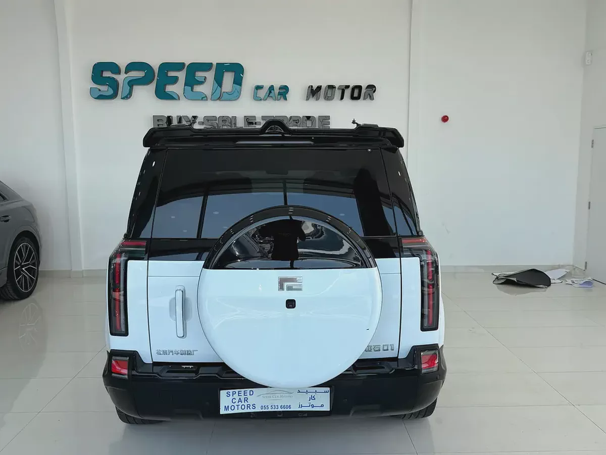 2025 Rox 01 VIP Chinese Specs-6-6