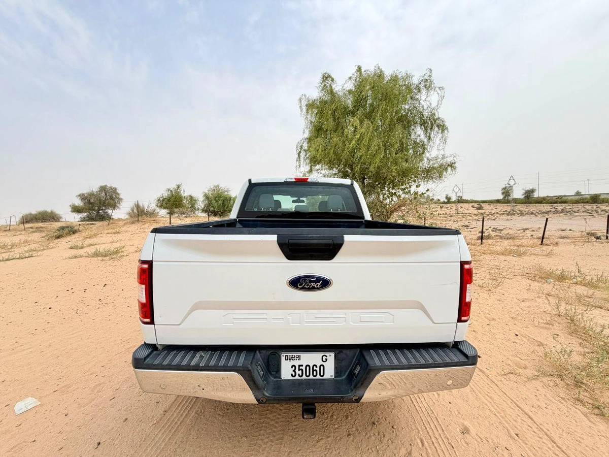 ford F 150 XL 5.0 L V8 4WD 2019-4-4