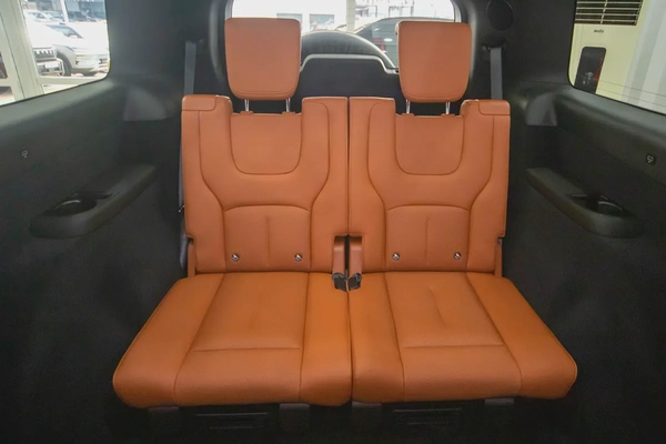 EV 2026 VIP ROX 01 SPECIAL PRICE