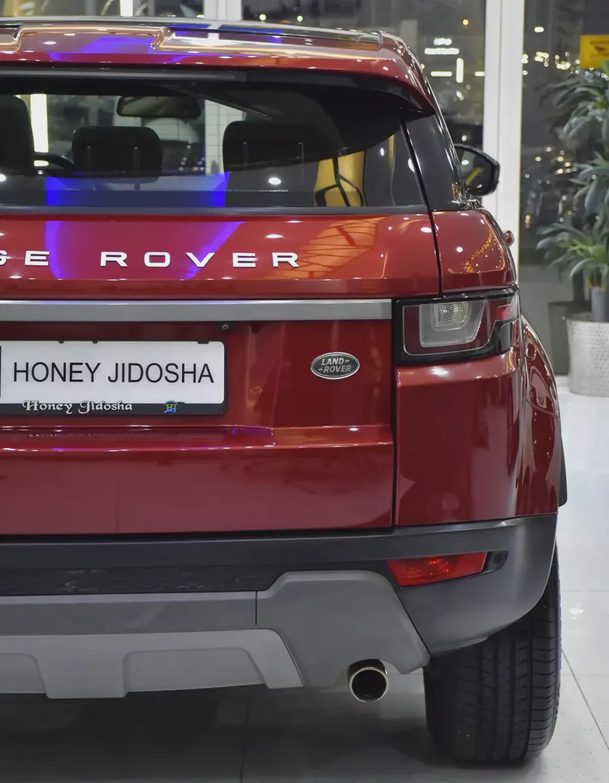 ORIGINAL PAINT ( صبغ وكاله ) Land Rover Range Rover Evoque ( 2016 Model ) in Red Color GCC Specs-8-8