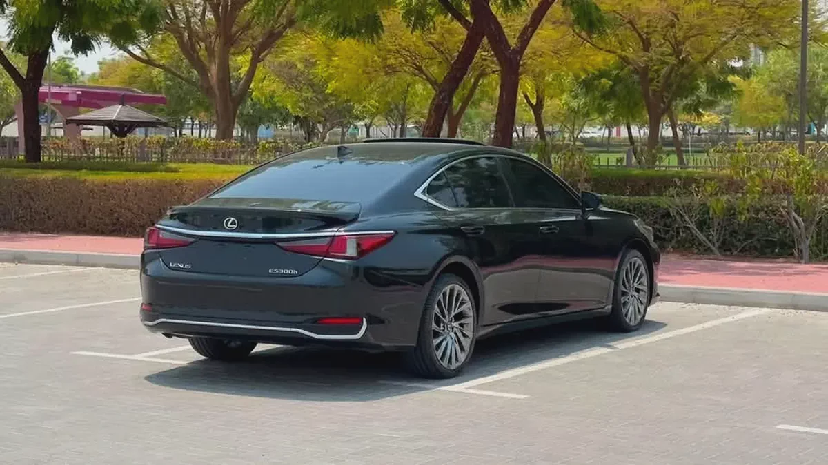 Lexus ES 300h  2022 GCC Specs Cash, Zero Dp & Inhouse finance-4-4