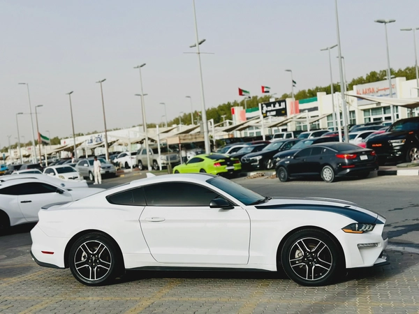 2022 Ford Mustang Ecoboost - # 00283