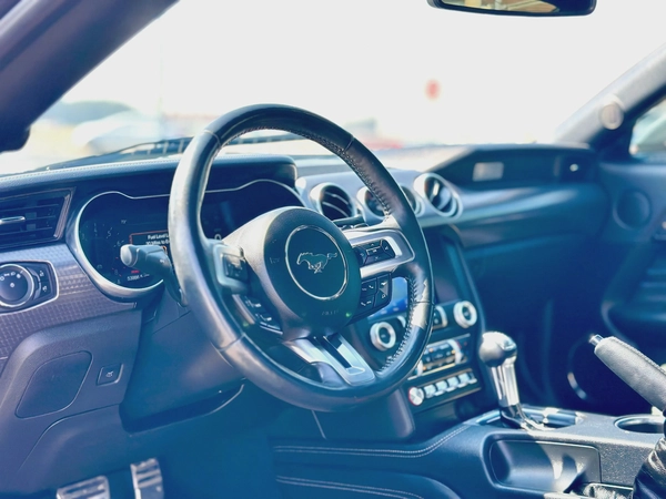 2020 Ford Mustang Ecoboost High Performance - # 27031