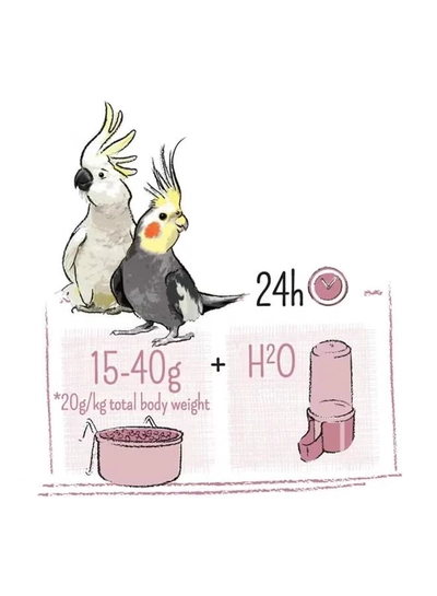 Witte Molen Puur Large Parakeet & Cockatoo [Weight - 2Kg]-2