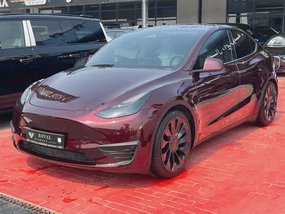 Tesla Model Y Performance 2024 GCC Specs - Brand New-0