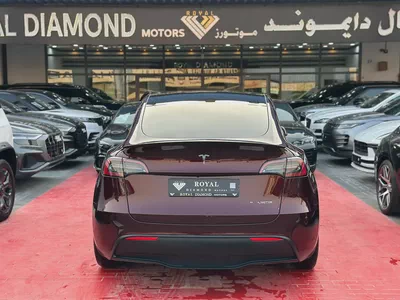 Tesla Model Y Performance 2024 GCC Specs - Brand New-4