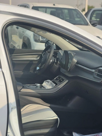 BYD Destroyer 05-11
