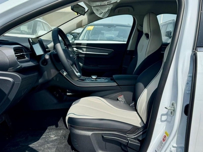 BYD Destroyer 05-15