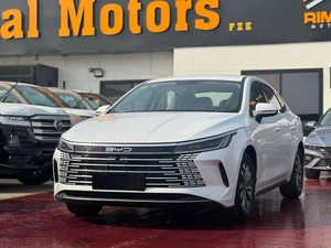 BYD Destroyer 05