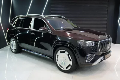 Mercedes-Benz Maybach GLS 600-14