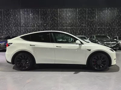 Low Mileage | GCC |  Tesla Basic Vehicle  Warranty 2028 or 80k Kms | Battery Warranty 2032 / 192k Km-5