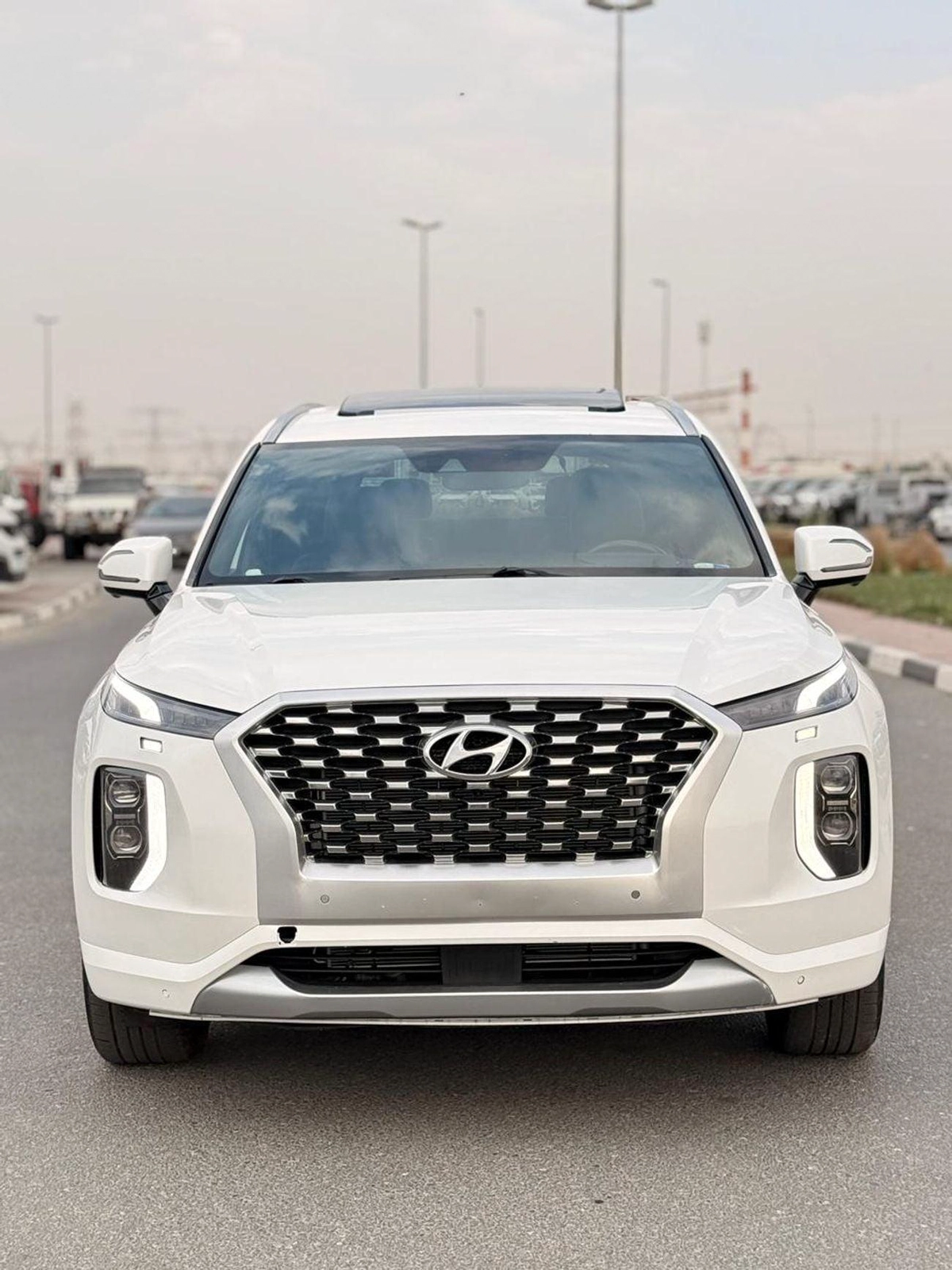 Hyundai Palisade Calligraphy | panoramic, 360 camera, head up display 2022 model-1-1