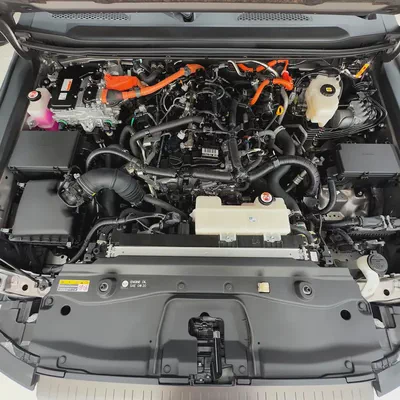2025 Toyota Land Cruiser Prado hybrid-13