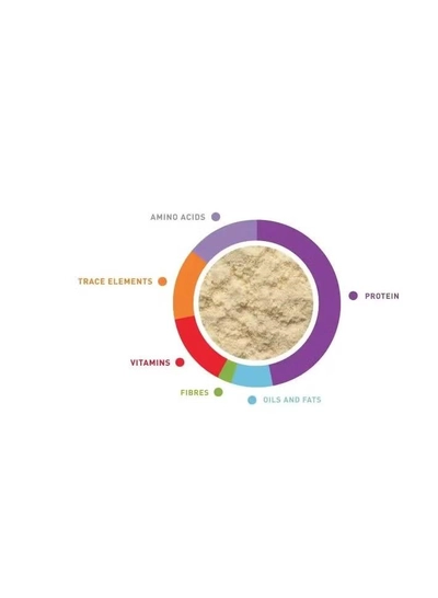 Padovan Loryfood 900gm-1