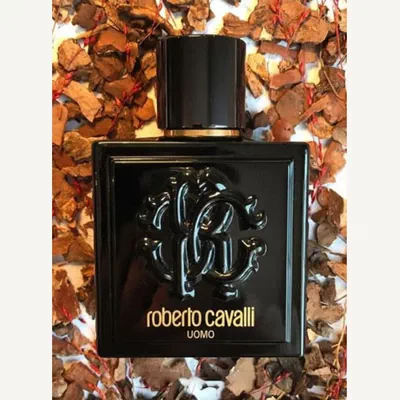 roberto cavalli Uomo EDT 100ml-3