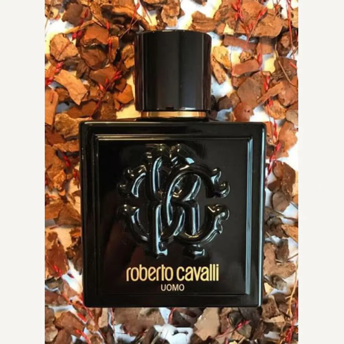 roberto cavalli Uomo EDT 100ml-3-3
