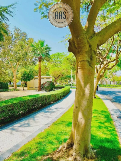 Green Lush Community ☆ New Building ☆ 1 Month Free ☆ Vacant ☆ Ready to Move-9