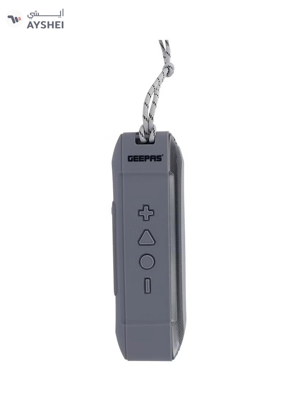 GEEPAS Rechargeable Bluetooth Speaker with Multiple Functions (TF Card/ AUX/ USB/ TWS/ BT/ FM, Hands Free Calling), Black