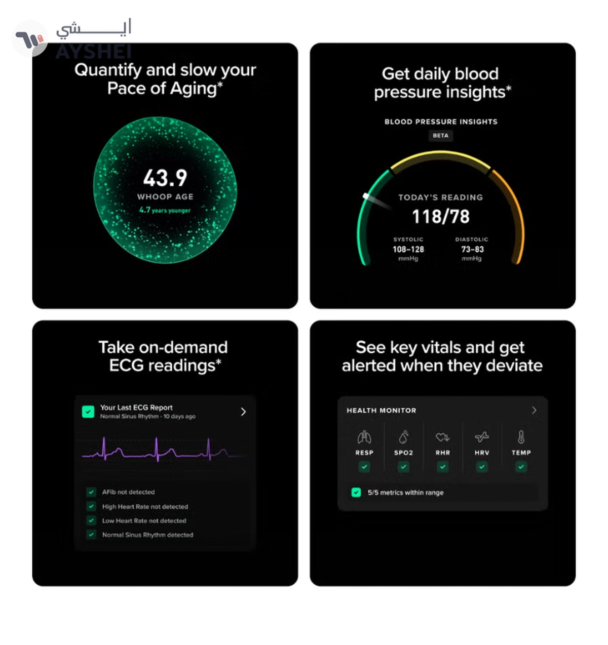 Whoop Life – 12-Month Membership – 5.0 – Health & Fitness Tracker – Blood Pressure Insights-1-1