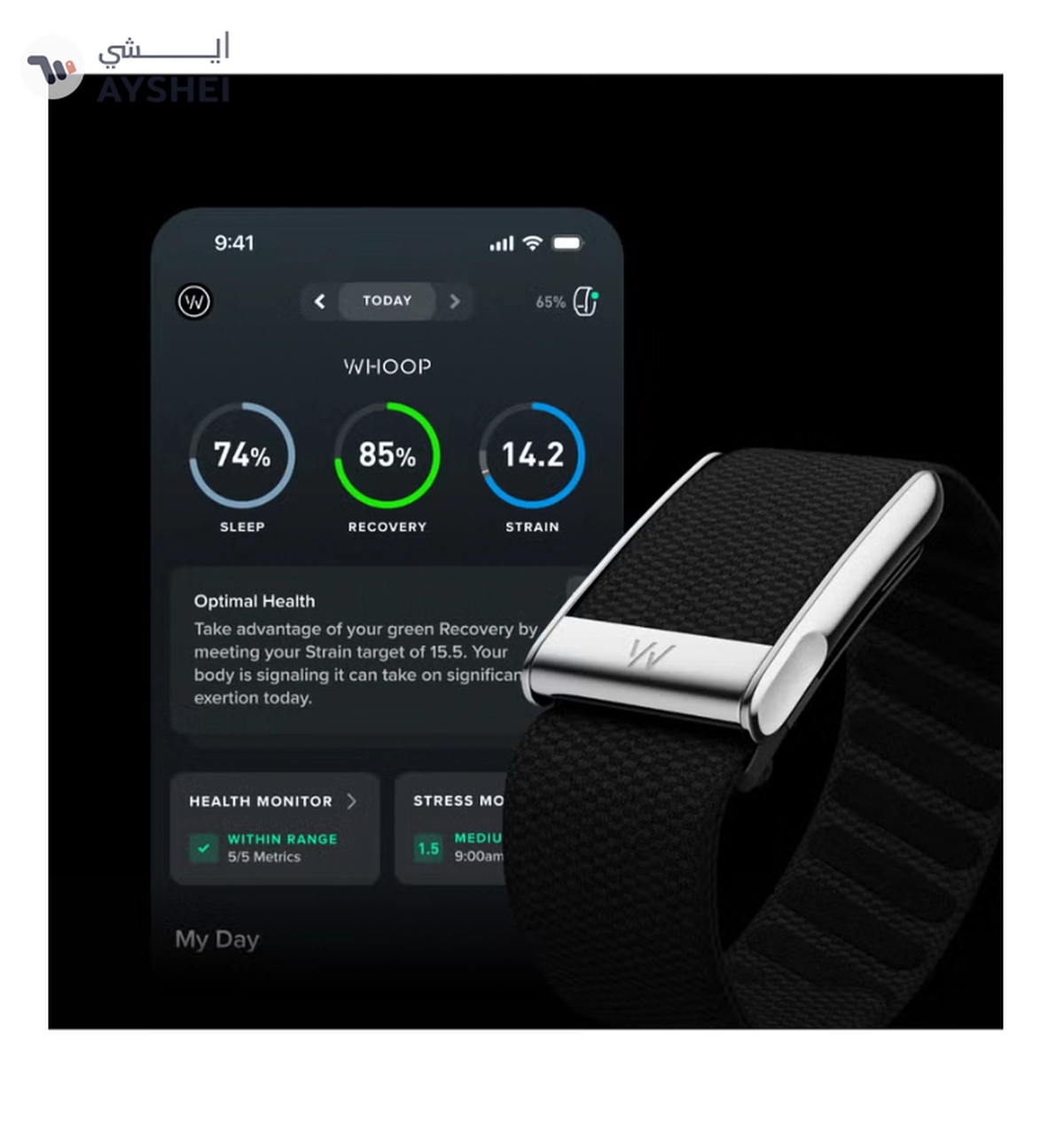 Whoop Life – 12-Month Membership – 5.0 – Health & Fitness Tracker – Blood Pressure Insights-6-6