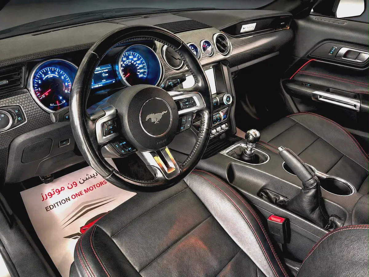 Ford Mustang GT 2019 Manual American Specs-3-3