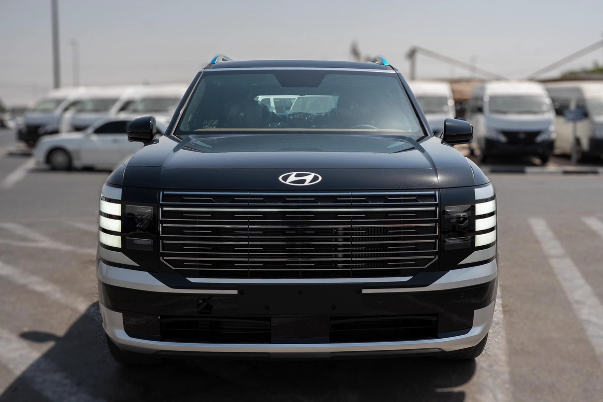Hyundai Palisade Calligraphy-13-13