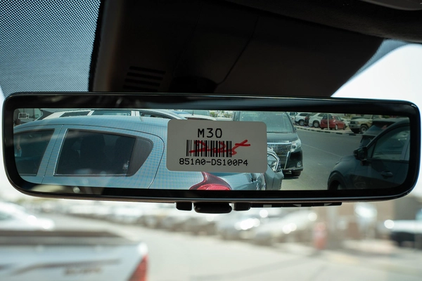 Hyundai Palisade Calligraphy