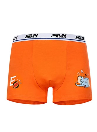 Babyqlo 4 Pack Elephant Printed Boxer Multicolour-4