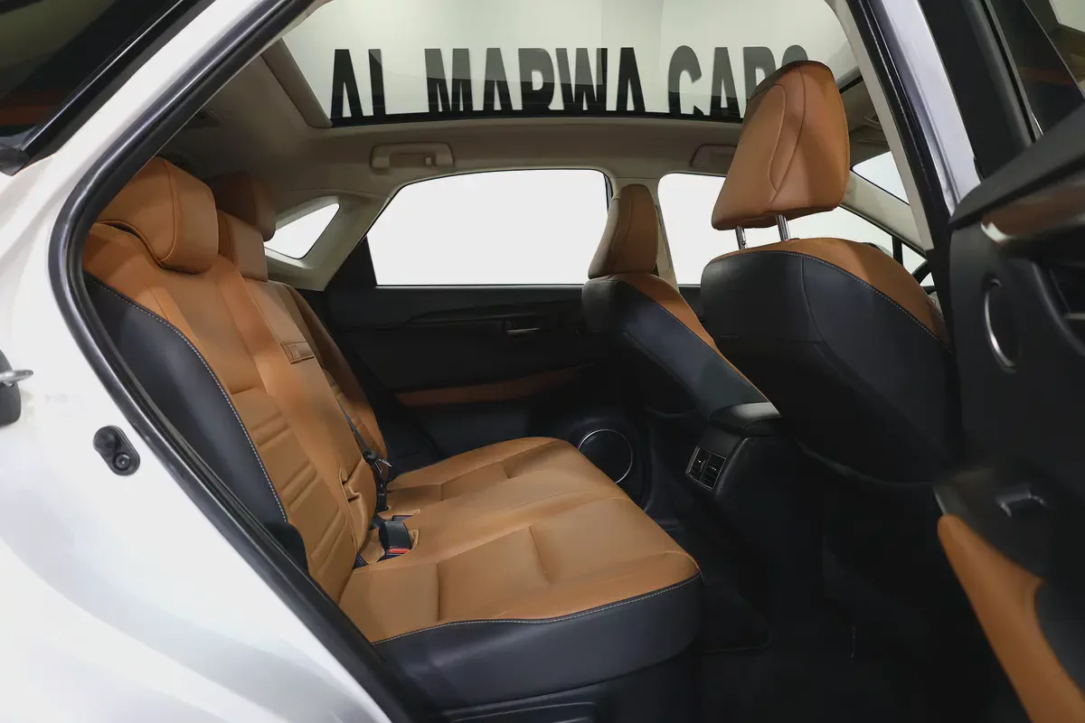 Lexus NX 300 Premier 2020 | GCC Specs | Pristine Condition-18-18