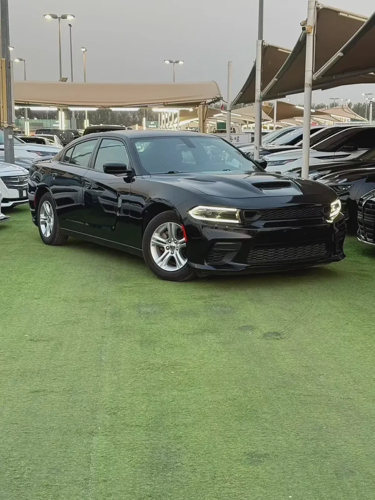 2023 Dodge Charger SXT - Pristine Condition - Low Mileage-5-5
