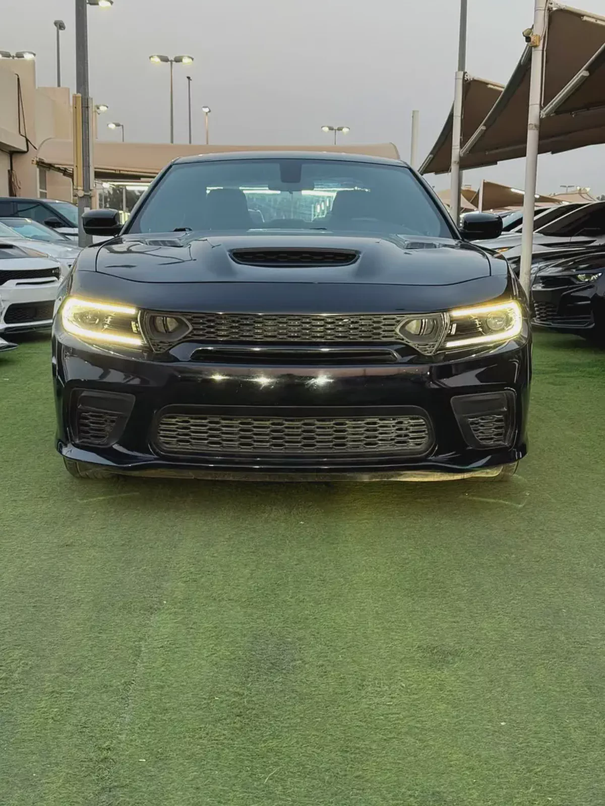 2023 Dodge Charger SXT - Pristine Condition - Low Mileage-6-6