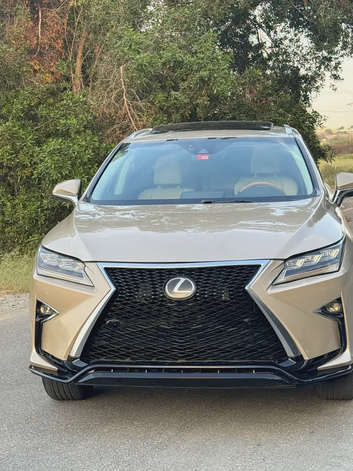 Lexus RX 350 Standard 2018 - Canadian Specs-4-4