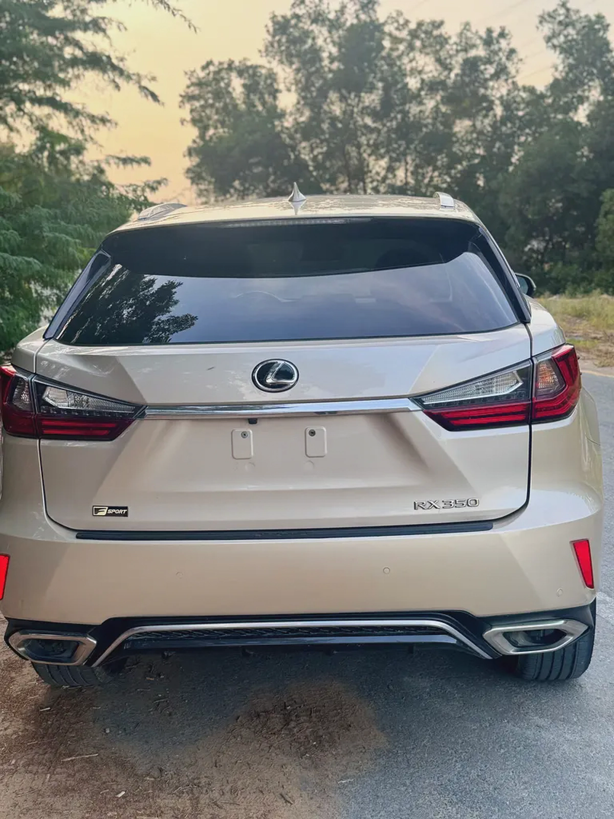 Lexus RX 350 Standard 2018 - Canadian Specs-6-6